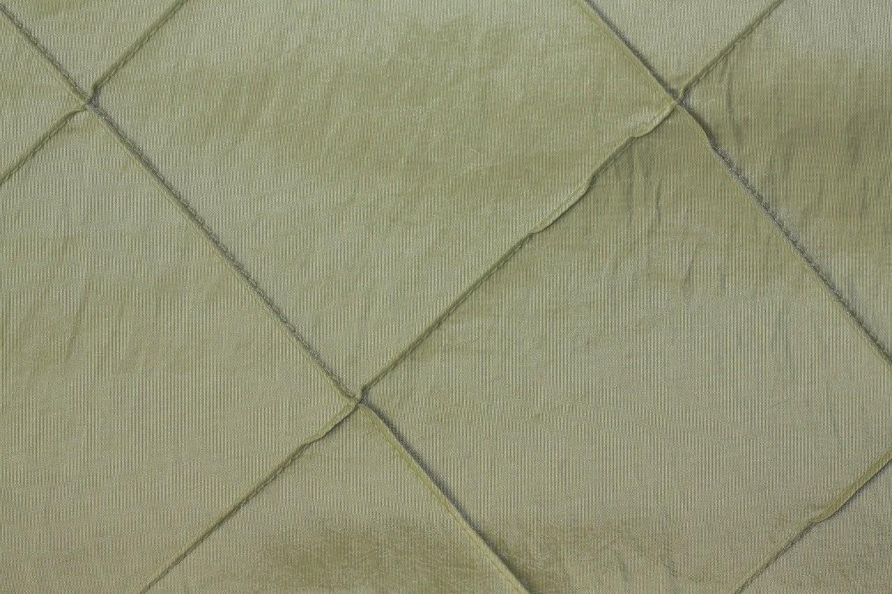 Light Sage Green